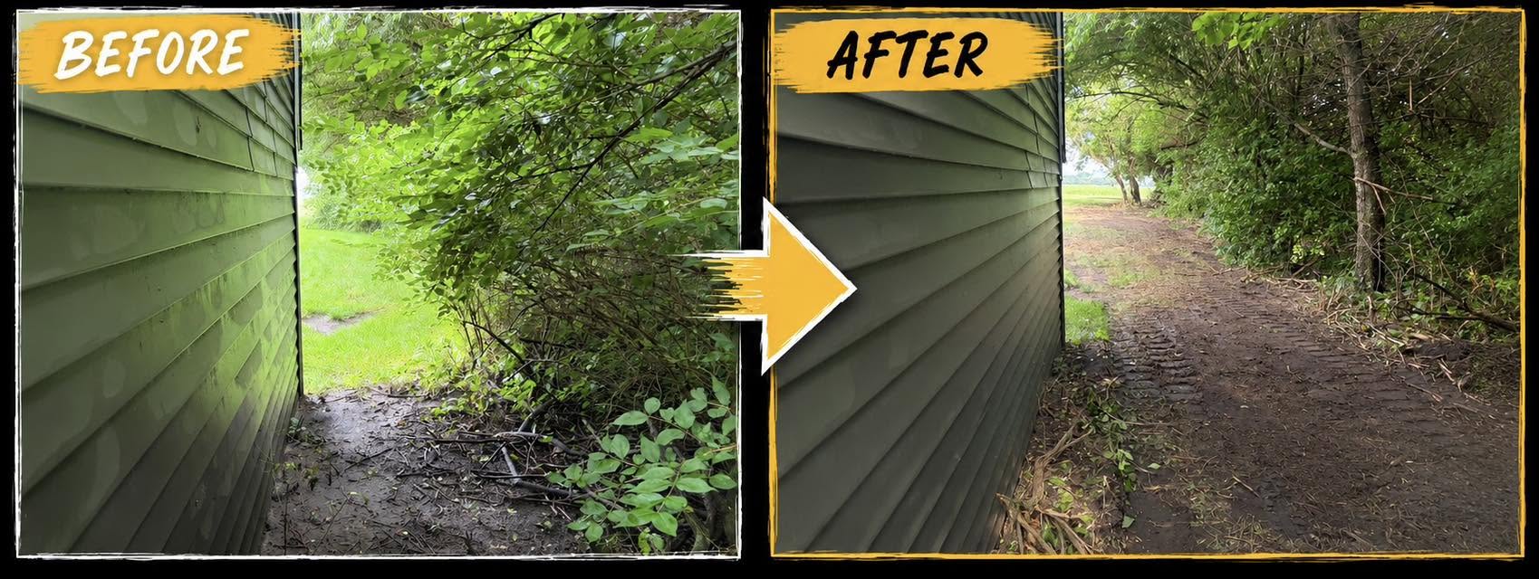 Before and after clearing brush along a building