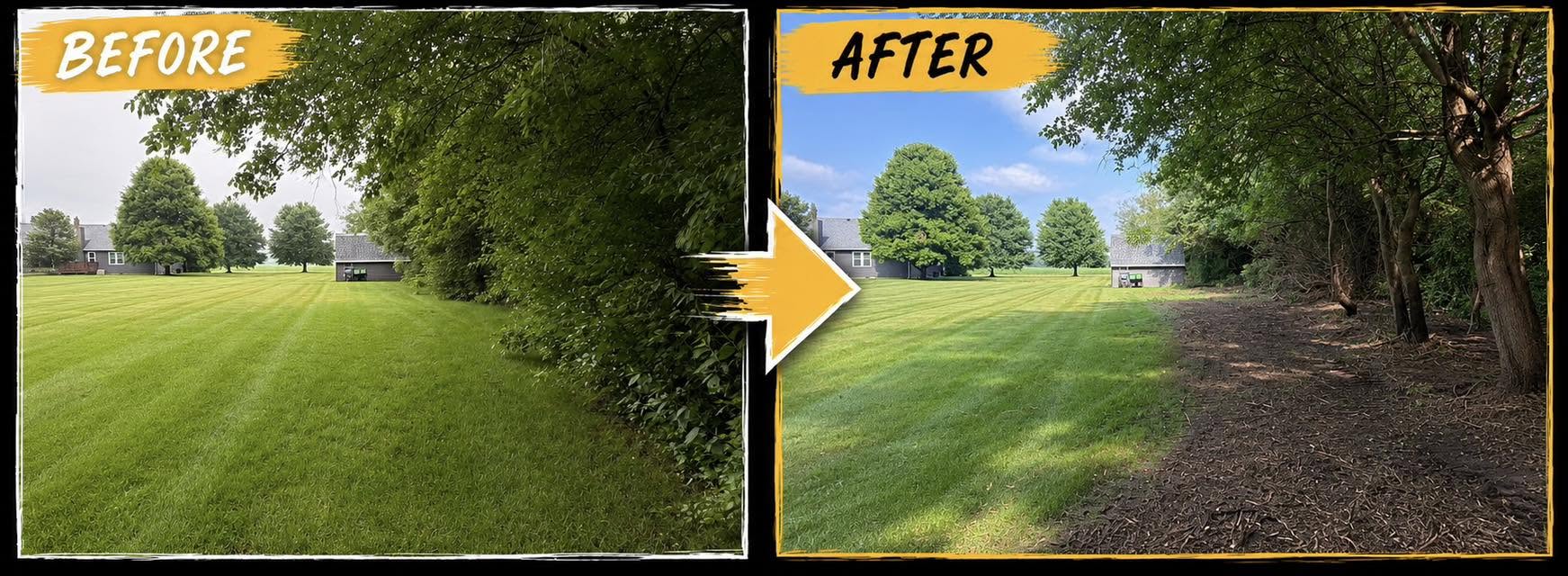 Before and after clearing a tree line beside a lawn
