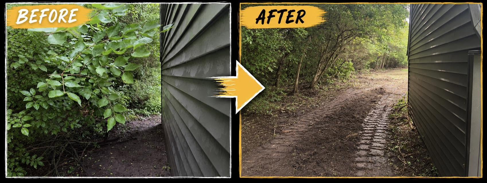 Before and after opening a path through overgrowth